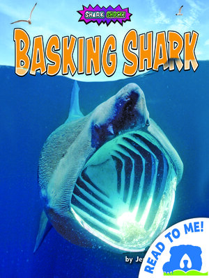 cover image of Basking Shark
